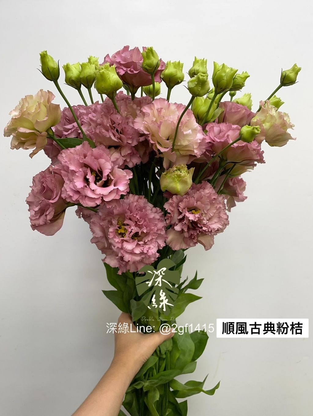 S__2932780