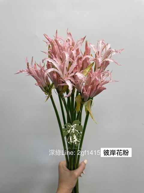 AIL4fc9xe4832UbCQkBeBb04mJSqggqxgy8Od35whC-FG6t_FhZKn-RvY6usmDepNz3A8ibNYgR8I3AHTB5D3D3i1x6xjWHOCx01TgHiy7kjDIlB-i1kv_yyu838USi6JzkG7SVD3zWfSxAQgLTcRYdUEWaU=w634-h845-s-no