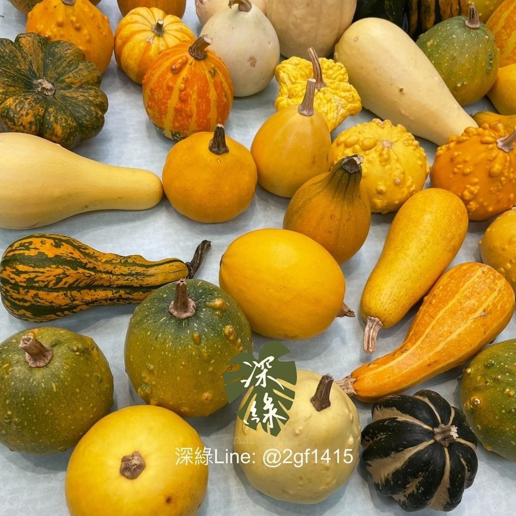 IMG_7899-1729142142675