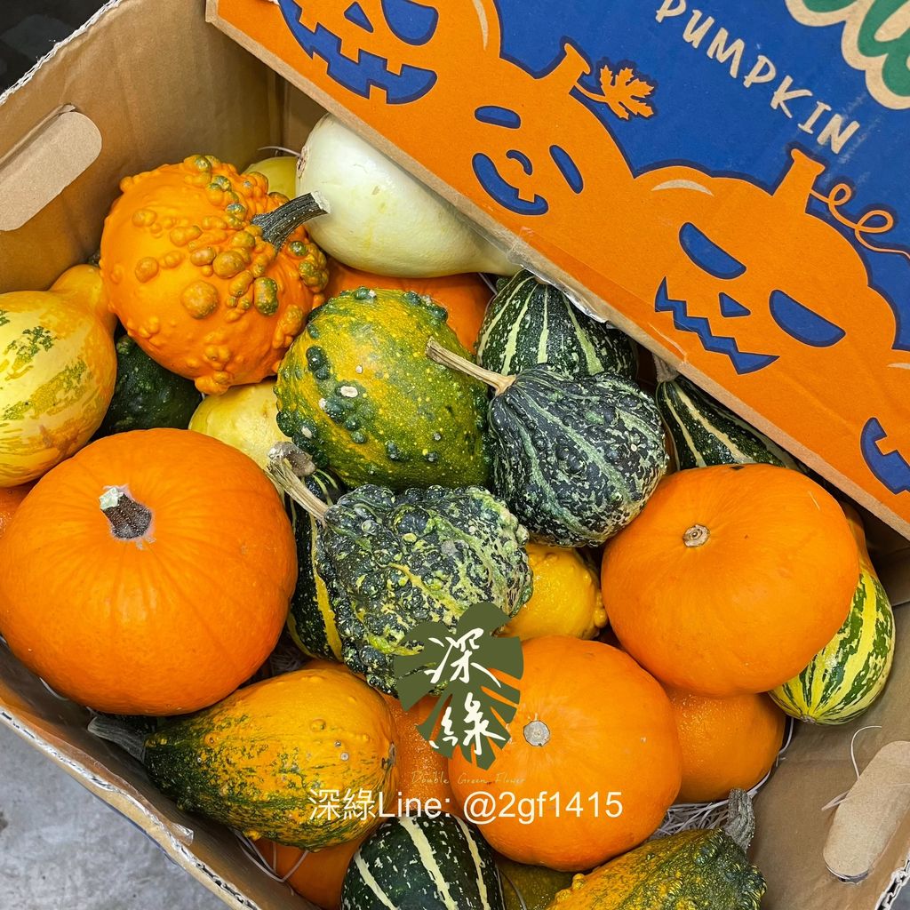 eZy Watermark_20-09-2024_01-41-15-5970下午-1726810889596