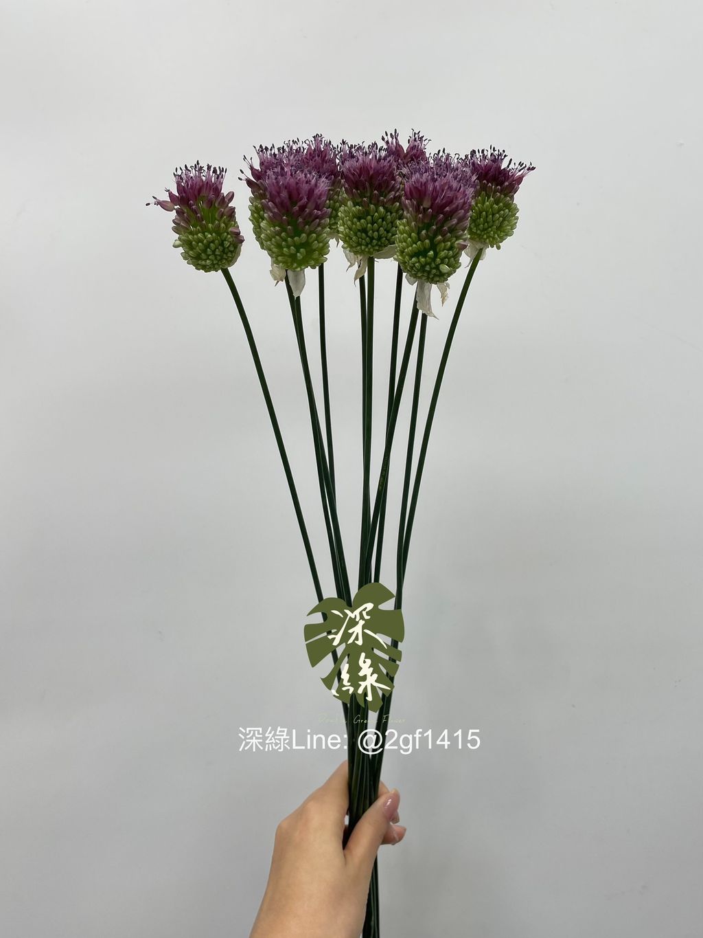 eZy Watermark_01-06-2024_08-50-21-4480上午-1717203050957