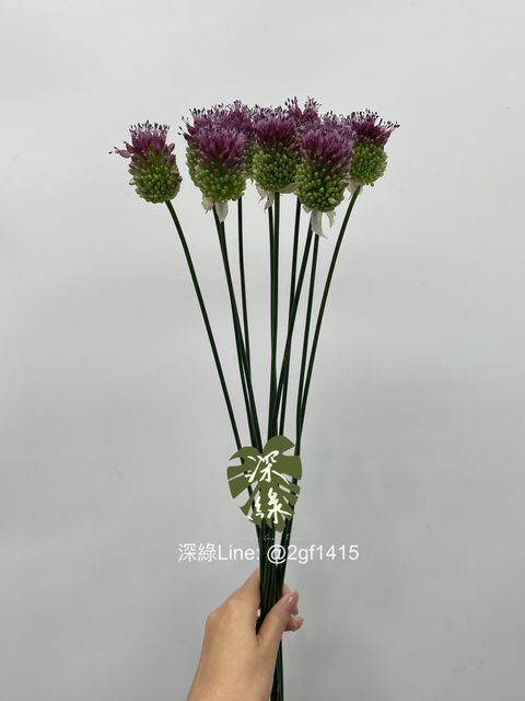 eZy Watermark_01-06-2024_08-50-21-4480上午-1717203050957