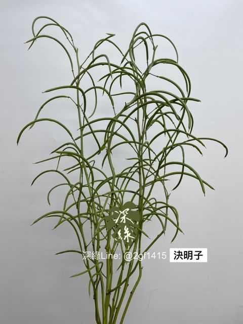S__2883690