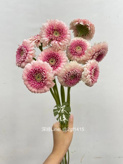messageImage_1759039103848