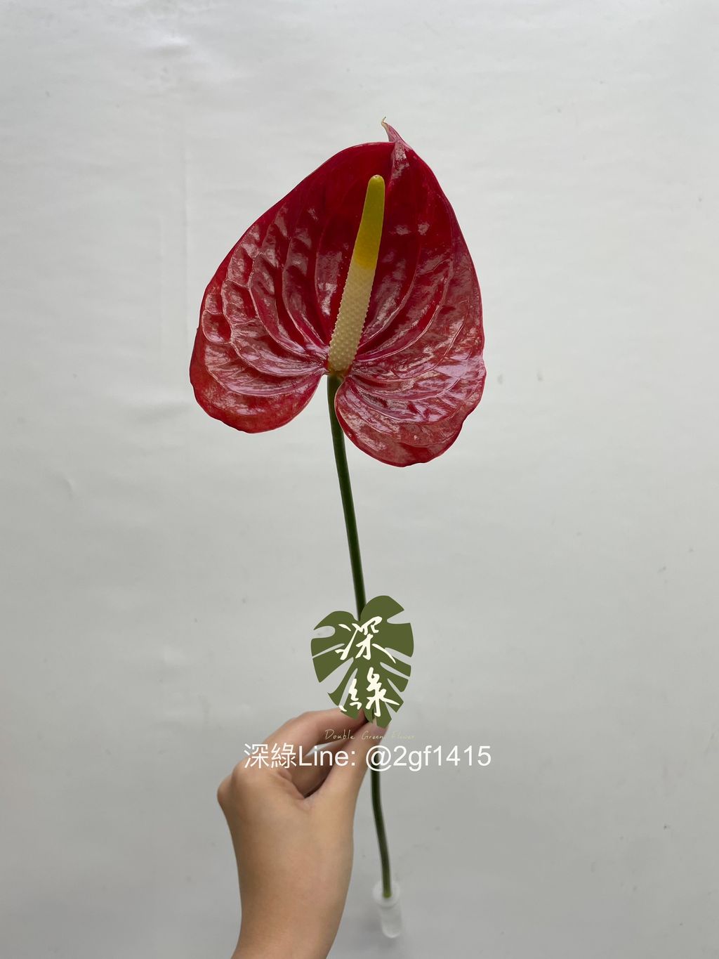 image_F3C27339-0C44-40D0-A330-EB7FCBBF21CD_1759120164