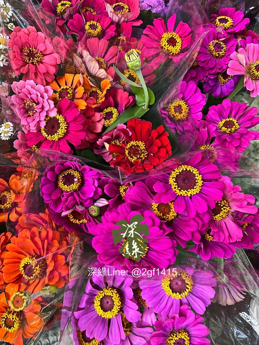 image_E5C3D24A-5A7D-425C-93CB-0F5961C79C09_1759121188