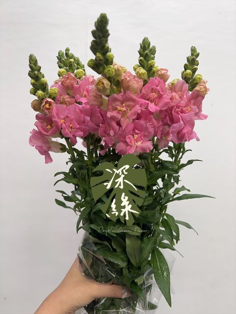 image_F05C50E2-463C-496D-90D9-6713881E5E0E_1759379093