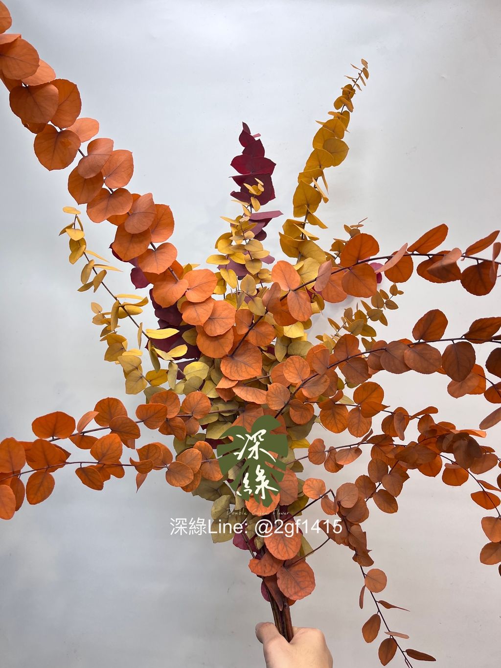 image_7049B1BA-BD27-422A-8126-2709551680F9_1759388164