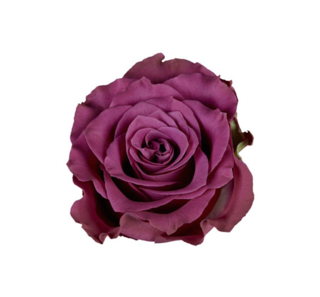 image_8FF11C9E-4AC6-47F7-9195-B7C8AB48EB2D_1759633047