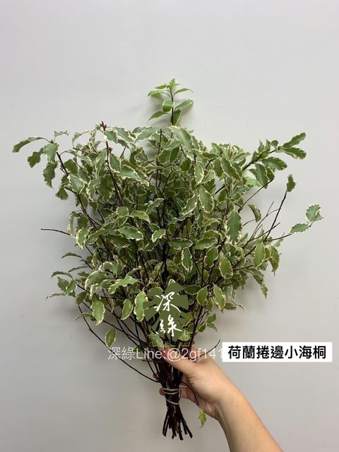 59A58726-C166-4D48-ABDB-627D80FC1689