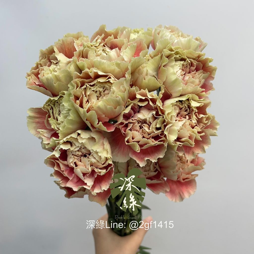 image_067D541D-2059-42BB-927C-50797DB0ED06_1754450931