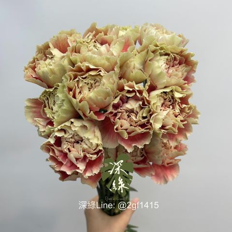 image_067D541D-2059-42BB-927C-50797DB0ED06_1754450931