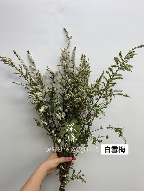 96319CD9-D1C4-4215-863A-DF410DC42BCB