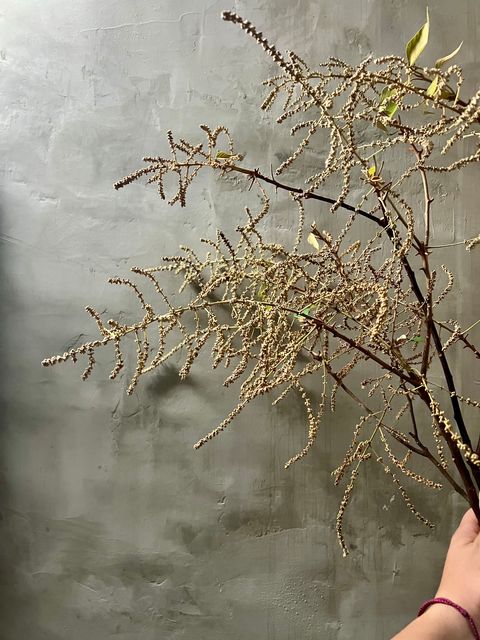 image_6F26C508-D6A3-49D7-A74B-CCA76B89E0EC_1759657124