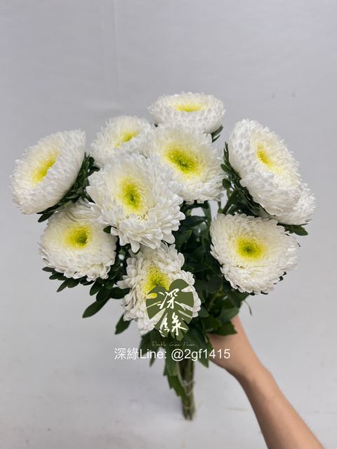 白色– 深綠花卉