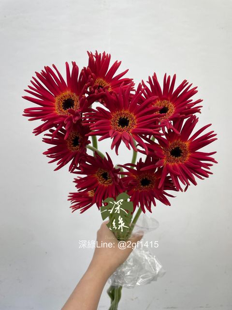 image_179C920E-D79E-4F1A-82C2-B2858367C32B_1759809442