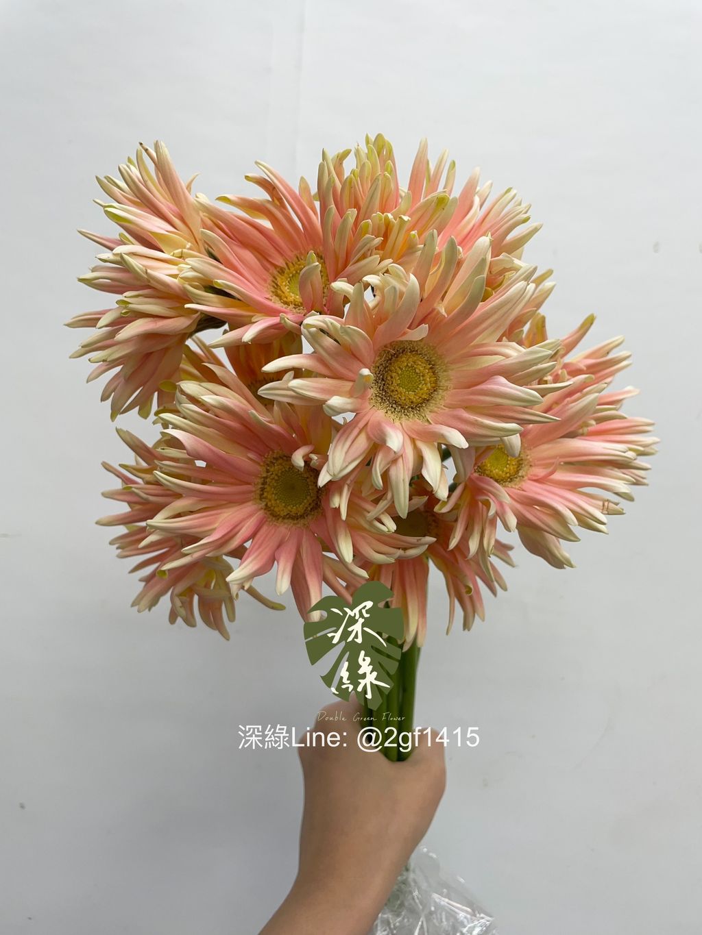 image_EBF4B3A9-99CC-412C-A17D-8F64392DEF50_1759809895