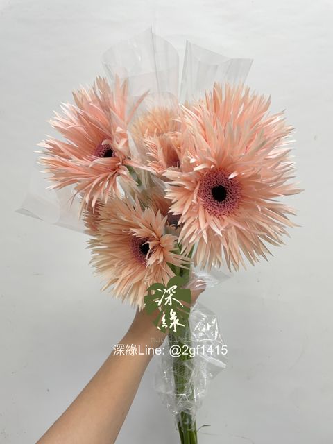 image_832D5F62-48A9-4120-807F-5E49F7FEFFC0_1759809413