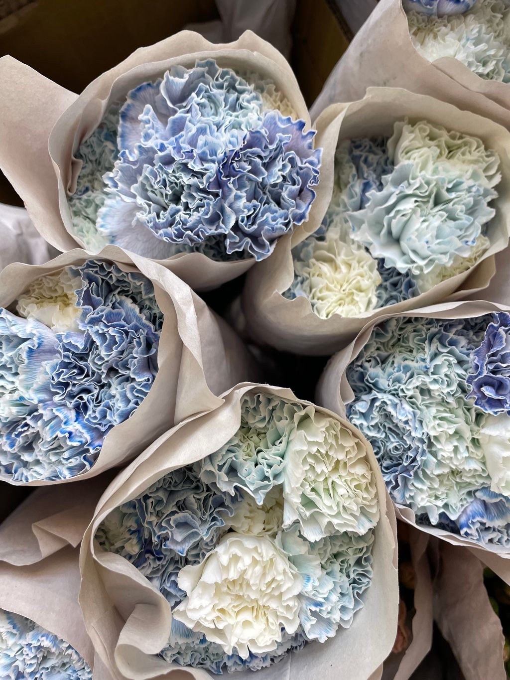 image_E30CD87A-CD91-489C-BB35-E50C376FD653_1759828628