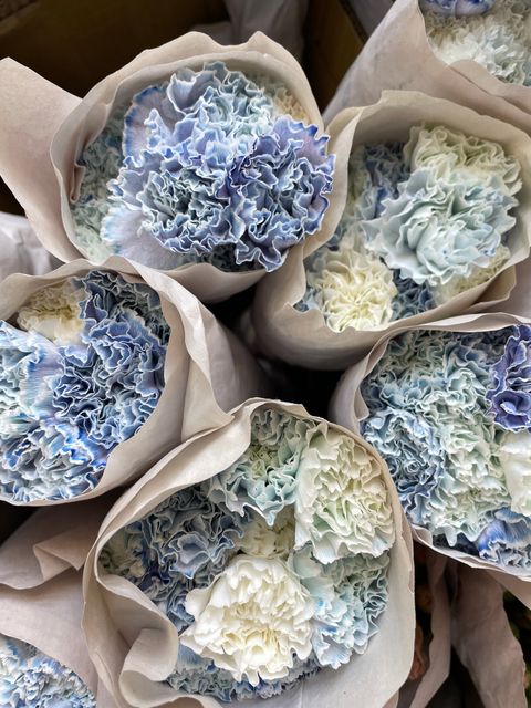 image_E30CD87A-CD91-489C-BB35-E50C376FD653_1759828628