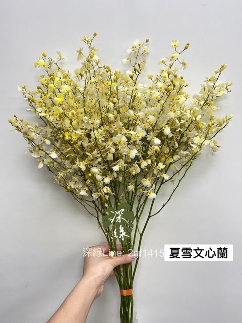 image_3805C6E7-6C01-4CB0-B5B2-43E9B1AD7BA3_1759889631