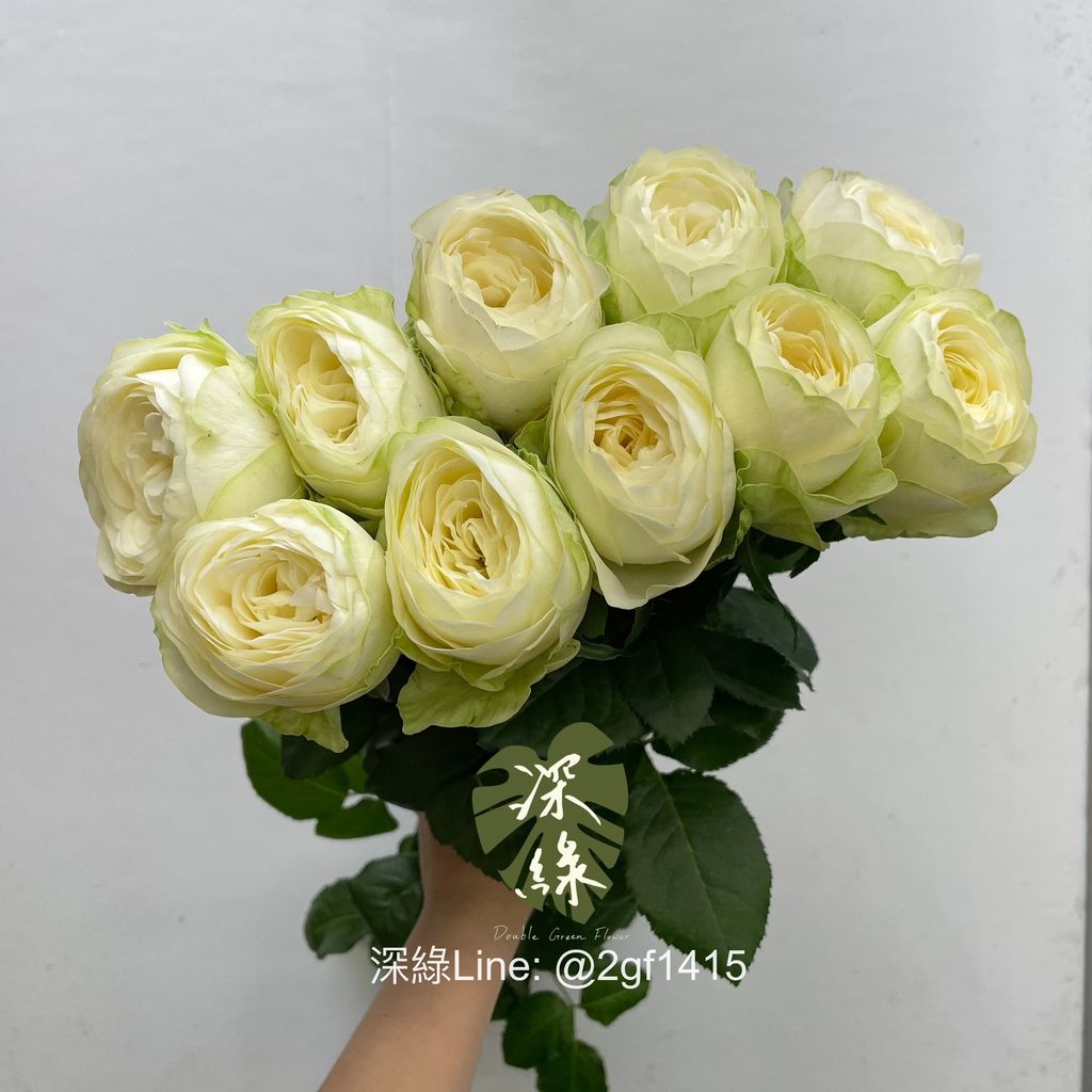 image_CAD2C4D1-C177-4D57-BD99-93EE57EEBEA7_1759802080