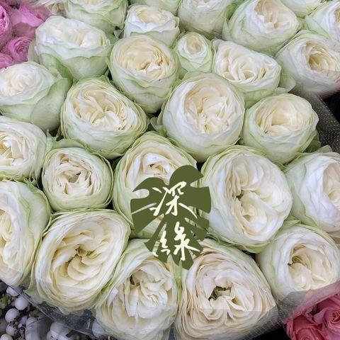 image_5F43C85B-DA04-4D53-B922-8795233B4A61_1759641938