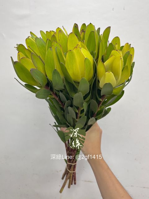 image_F9F4A5C2-6473-4AA4-8EA8-F5577DC5AF0E_1755659256