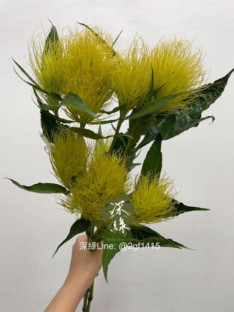 image_B122E54C-F384-4CC0-B1AC-6D34FD890E0C_1760328804
