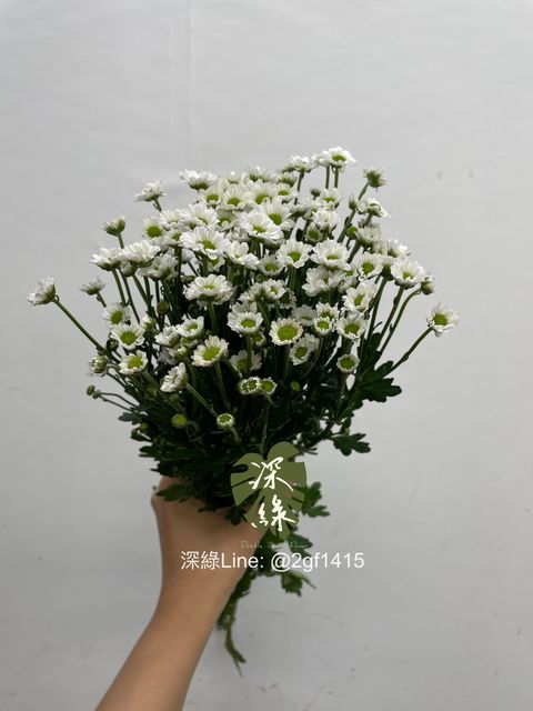 image_7A551100-F384-4BD0-B393-5AB00986B55A_1760325113