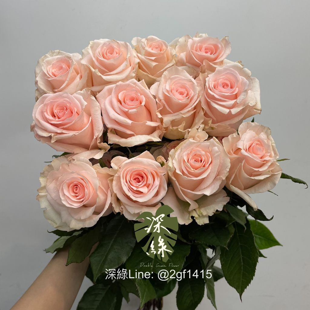 image_BFFB6D60-7DEC-4AD6-9830-75D0E3B30E3F_1760409989