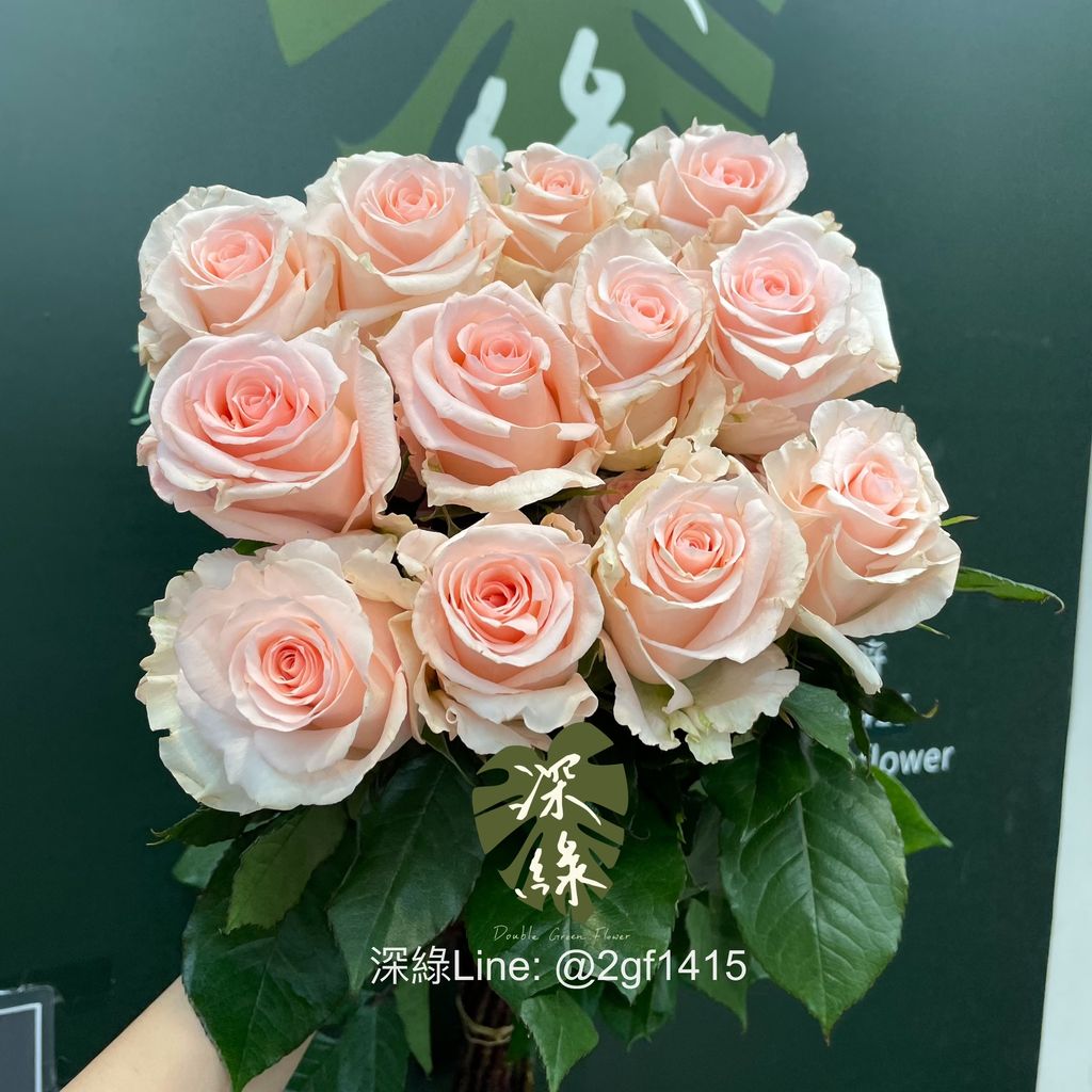 image_D6FF0ED6-B5E9-4103-8057-E20ED3603D02_1760409989