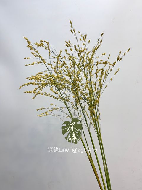 image_75E97271-067D-4ACC-8715-F8A265BCA419_1760415071