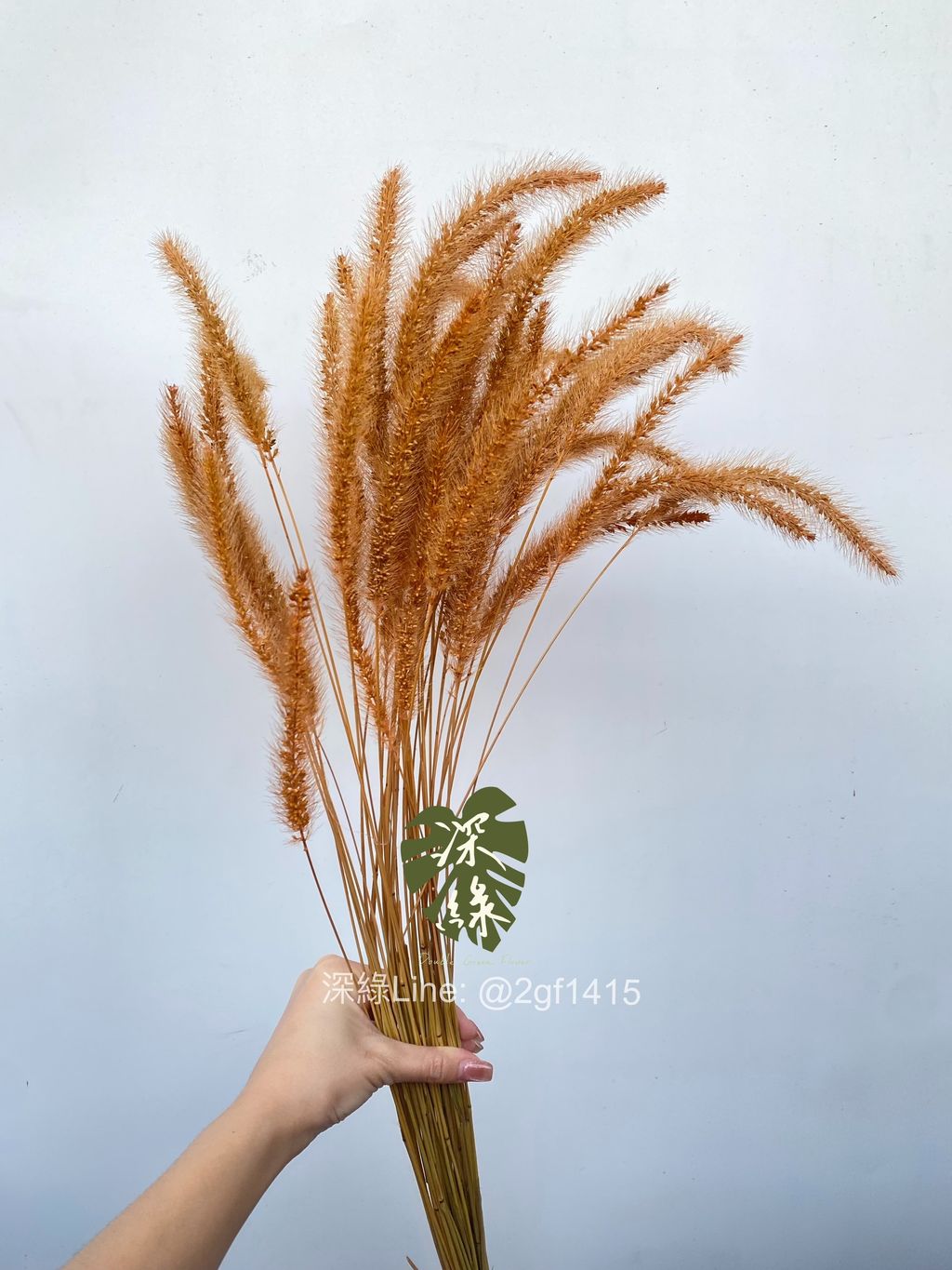 image_02ECBA4D-203D-4D12-8A6F-EDEB0363A9D0_1760424431