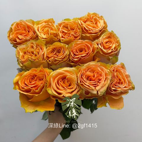 image_826D5483-E712-4832-9859-D05B16B81BCB_1760498341