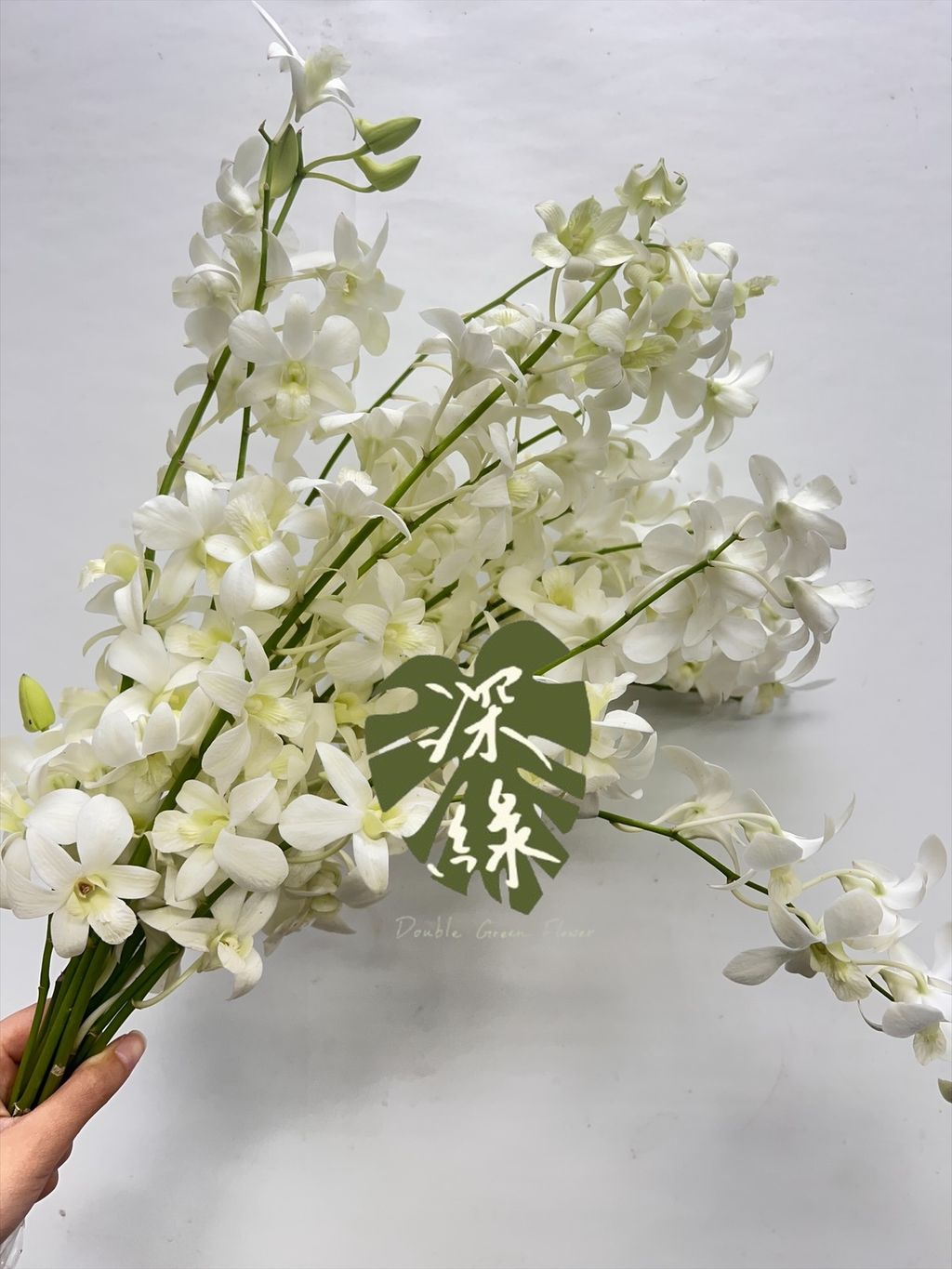 image_89BE6AB2-172C-474D-92BC-10ADE4EF8399_1760500352