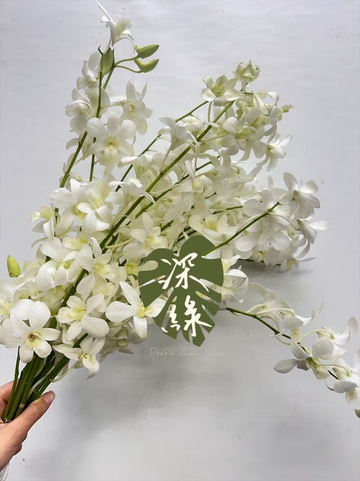 image_89BE6AB2-172C-474D-92BC-10ADE4EF8399_1760500352