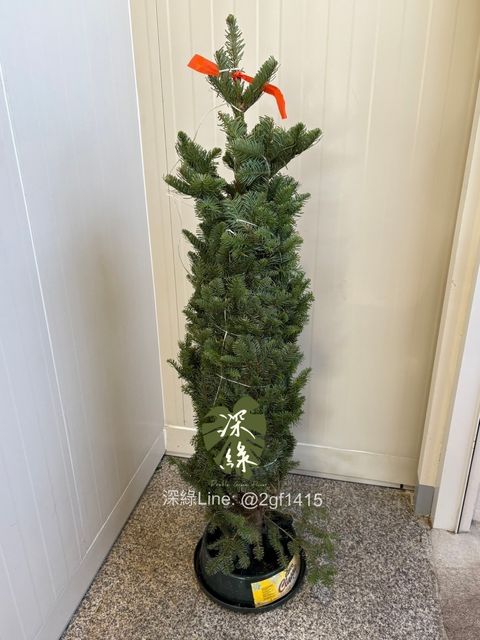 S__43073546