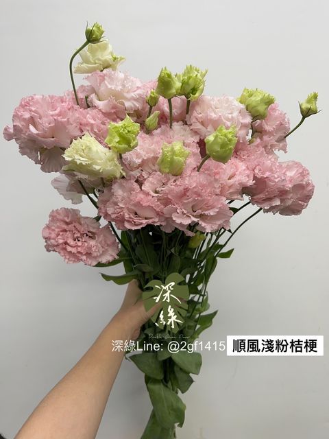 S__3457097