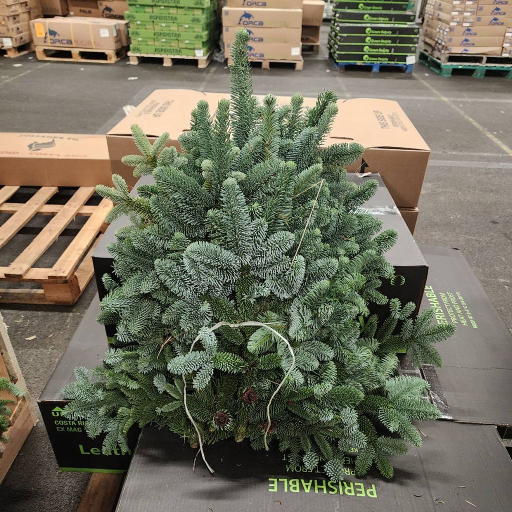 875572