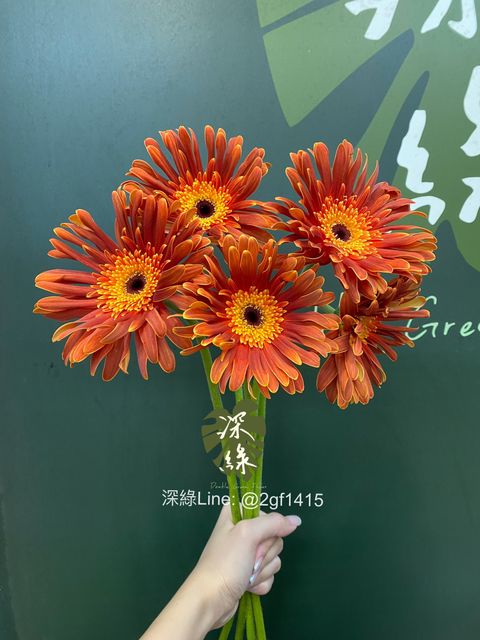 eZy Watermark_30-09-2024_03-06-24-6640下午-1727680571385