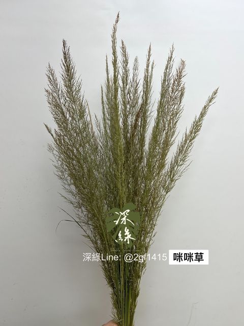 S__2932783