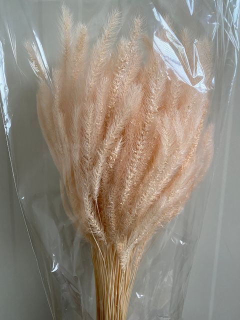 image_C2DC332F-A877-4916-9031-24D70D18F5C4_1760948464