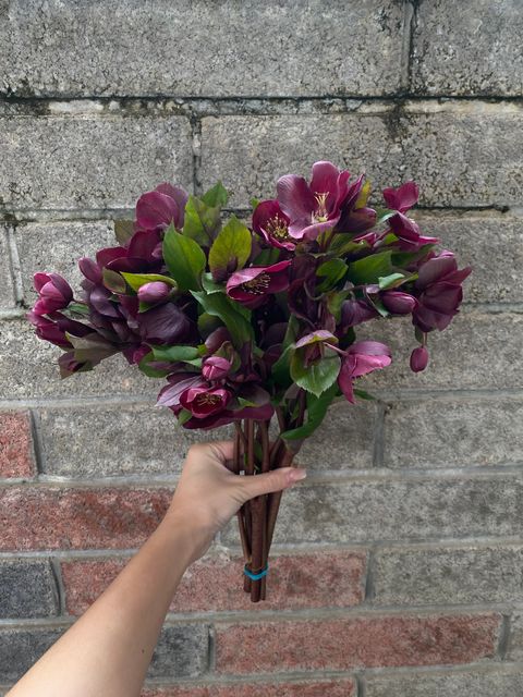 image_77BE8850-DD0C-45F5-9F34-1B2EA502C5AE_1760979466