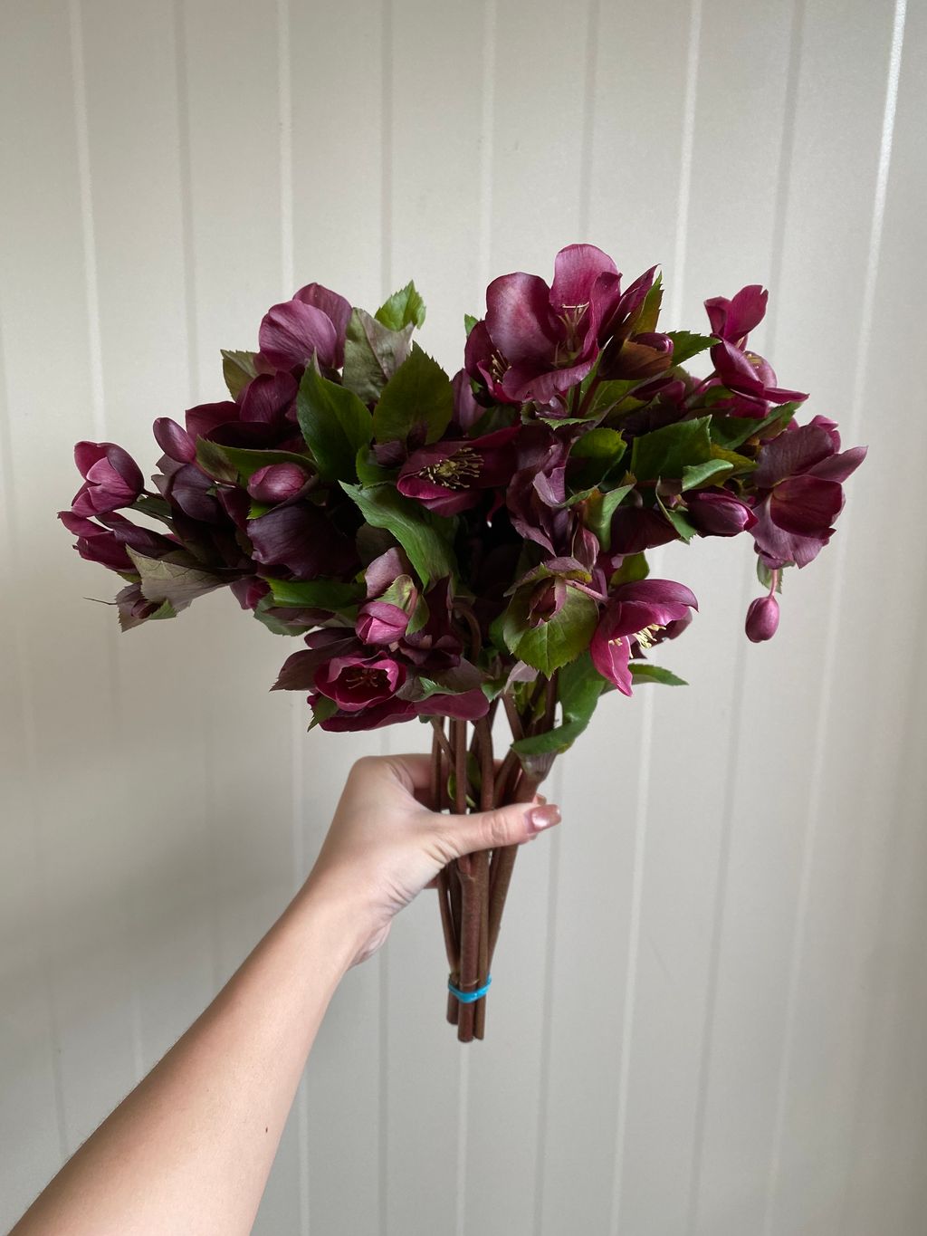 image_7110AF87-6BF9-4B0C-B25C-EBE451FB4997_1760979466