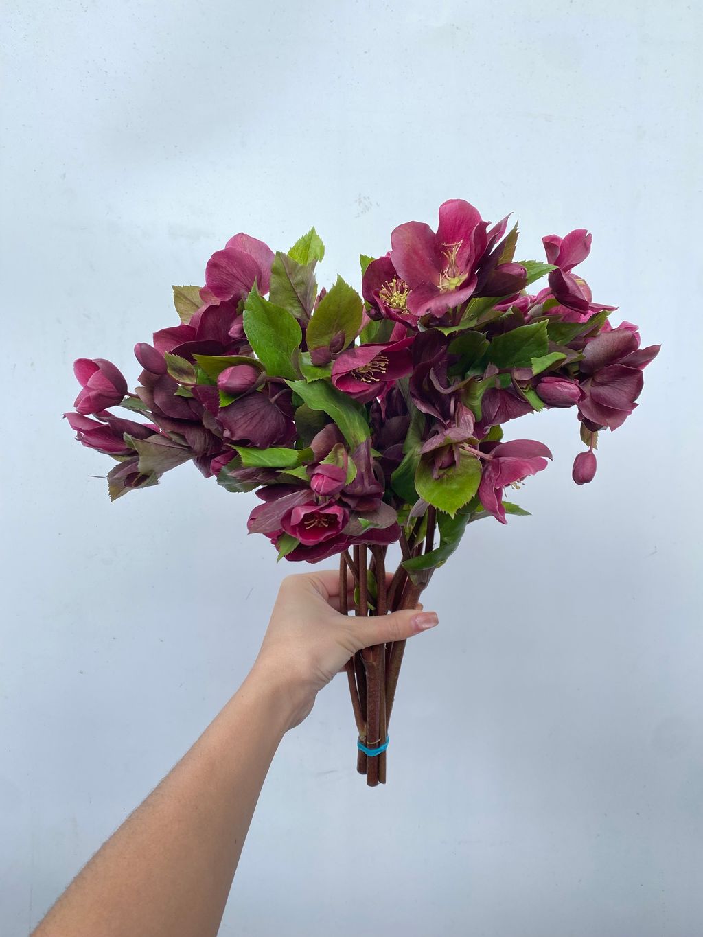 image_57453BB8-2F6E-4D80-9FD2-0666BC7F5738_1760979466