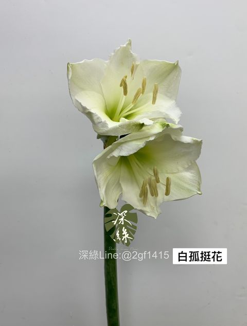 DD53374D-F211-412D-BC9B-1BF93D1316EC