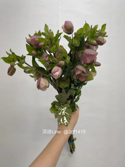 image_2B6434E1-ACBE-445A-97CC-FCEAF4853157_1761019315