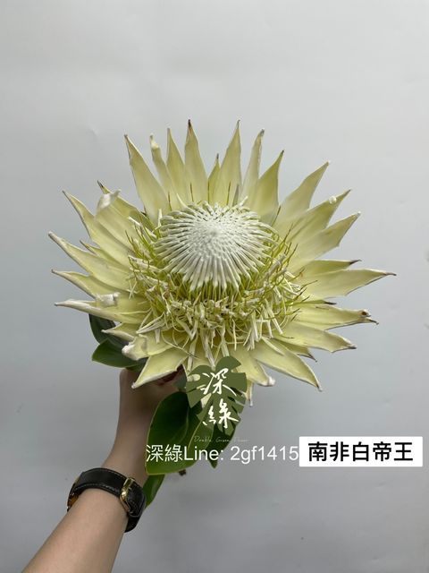 370343A5-B2F5-4644-A4D1-9985DA319A8C