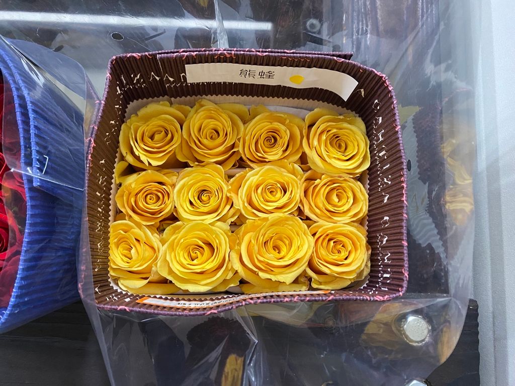 image_F4C17C9D-3E48-467B-BFA2-EBE5B222E6F3_1761198708